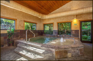 Indoor heated spa with stone surround, wood ceiling, and large windows overlooking greenery
